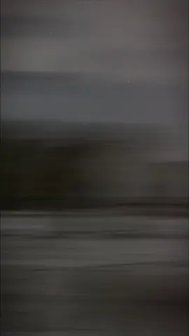 #CapCut မြင်းခြံသားပါဗျို့😂😂