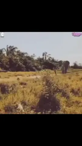 #funnyforyoupage⚰️#foryoupage🔪⚰️👍#trending tiktok#bdtiktokofficial🇧🇩tiktokboangladesh😍😍😍🇧🇩#bdtiktokbangladesh 