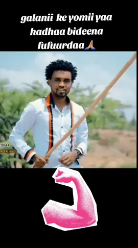 #icreatorsearchinsights 