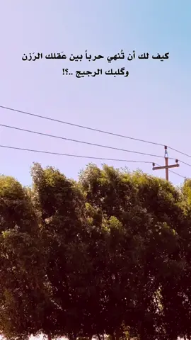 كــيـف ..؟🖤 #اضافة_لايك_متابعة_اكسبلور #عباراتكم_الفخمه📿📌 #تصويري_احترافي_الاجواء👌🏻🕊😴 #الحله_بابل_العراق #اعاده_نشر🔁 