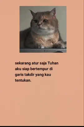 #katakatasedih #katakatabijak #fyp #viral #laguindia 