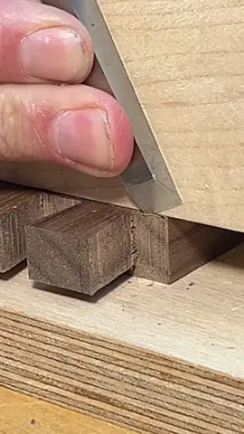 Playing around with using a guide block to help with pairing down to the knife wall on the tailboard of some dovetails. A little fiddly to set up, but can’t argue with the results. And that oh-so-satisfying last pass.  #woodtok #woodworking #handtools #dovetails 