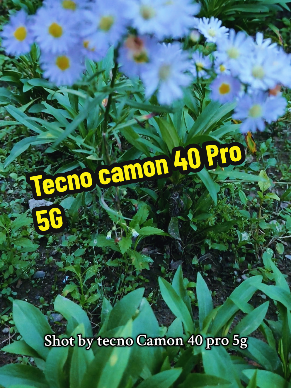 📸 Capture every moment in ultra clarity! With the Tecno Camon 40 Pro 5G, experience pro-level photography, smooth performance, and lightning-fast connection — all in one sleek device. 💫✨ #TecnoCamon40Pro5G #NextLevelPhotography #UltraClearShots #FastAndSmart #TecnoInnovation 