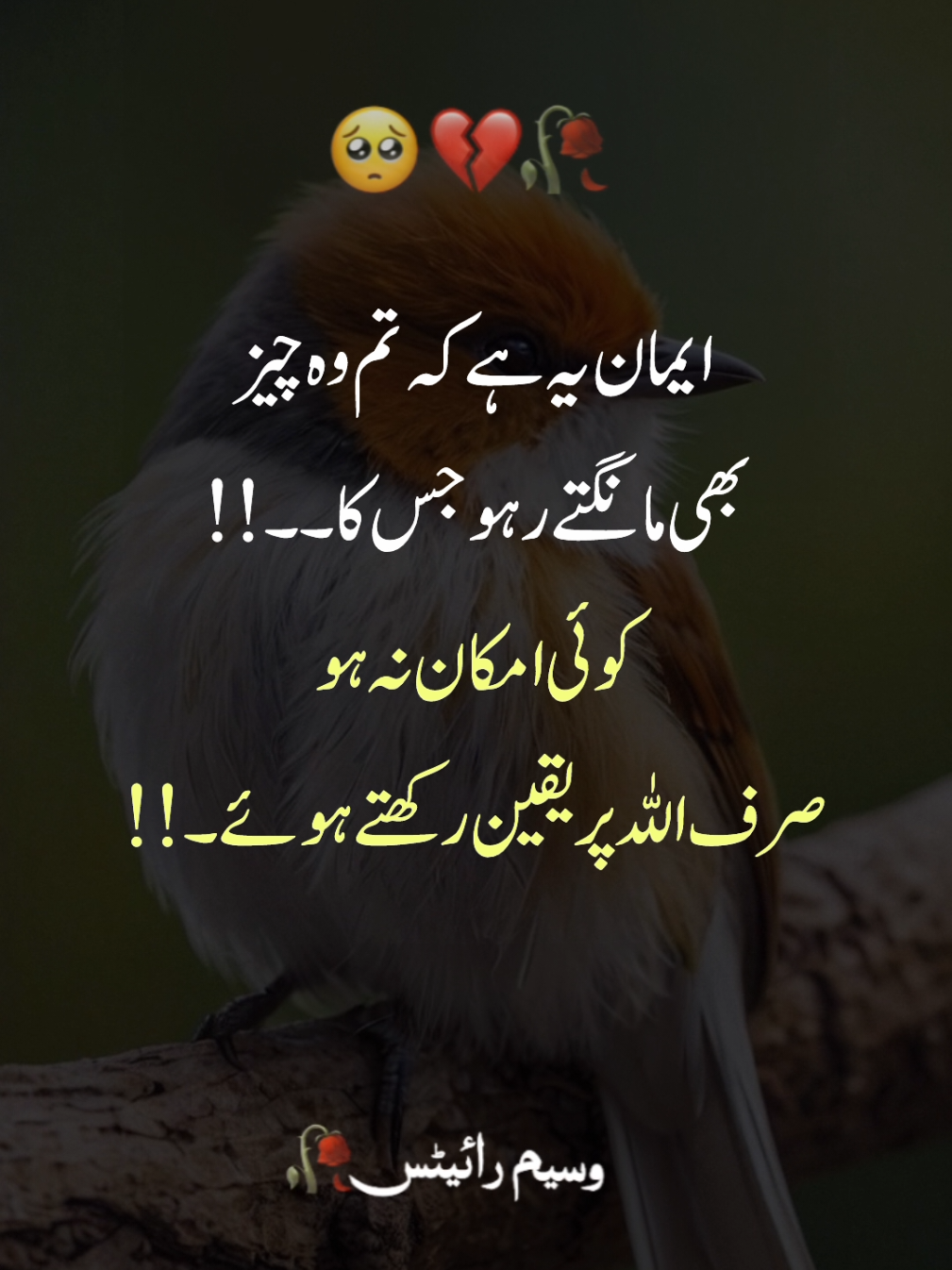 🥺🥀deep Lines yar alone🥺🥀 #sadlines #deeplinespoetry  #foryou #foryoupage  #viralvideo @Waseem Writes✍️ 