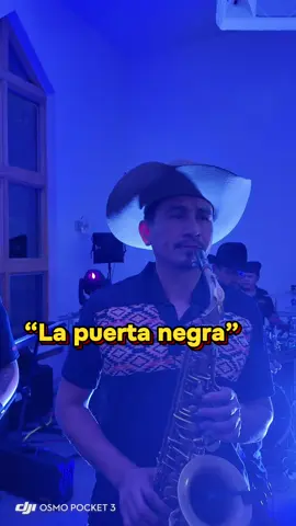 Algo de los jefes de jefes @lostigresdelnorte 🔥🔥🔥🎷 #norteñas #lostigresdelnorte #norteñasconsax 