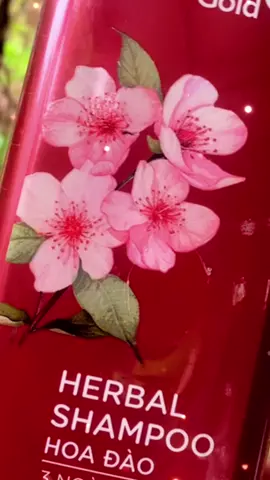 #xuhuong #daugoithaiduong #trigau #chamsoctoc #giamgayrung 