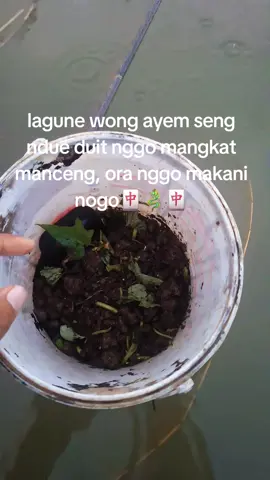 Duamaiii #fishing #pemancing #storymancing   @phrl @🍁 