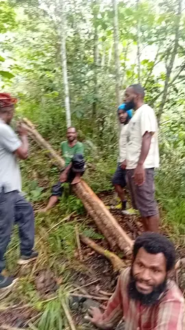 #VoiceEffects Kondopina Seventh-day Adventist Church work at Kinjip #