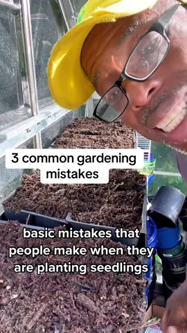 3 common gardening mistakes #gardening #gardeningtips #plantingseeds #andrethefarmer #gardenersoftiktok 