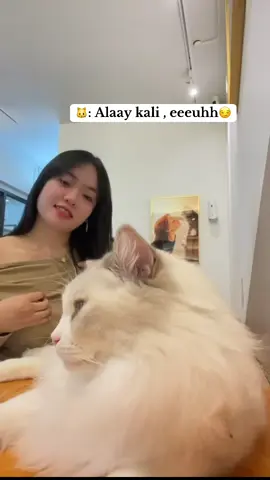 Maap y cing #fyp #fyppppppppppppppppppppppp #fypage #viraltiktok 