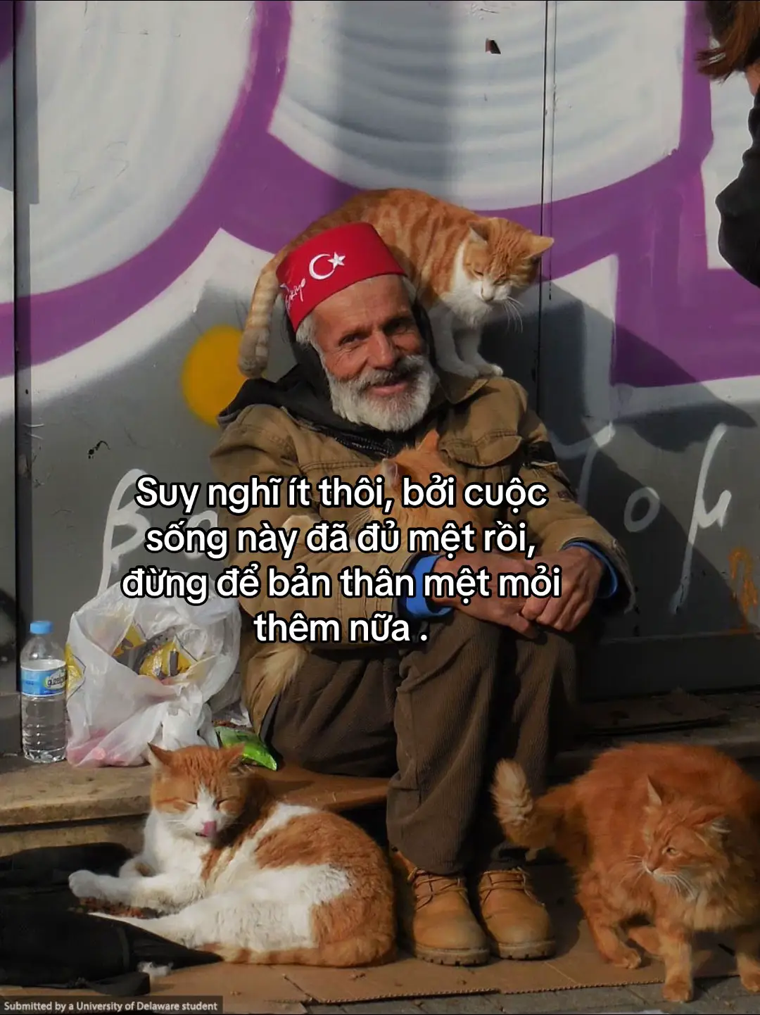 Suy nghĩ ít thôi, bởi cuộc sống này đã đủ mệt rồi, đừng để bản thân mệt mỏi thêm nữa . #story #sttdoi #14thgg11vhh #tamtrang 