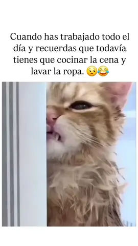 #aries 