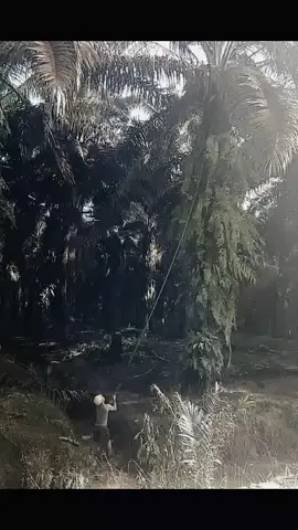 diajak kerja apa aja ayo asal jangan sok Kya di depan orang 🌝