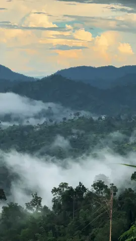ปลายฝนต้นหนาวสวยงามเสมออ 💚🍃⛰️🌫️ #600coffee #ทองผาภูมิ_กาญจนบุรี #จุดชมวิวทางขึ้นเหมืองปิล๊อก #อีต่อง #เที่ยวกาญจนบุรี 