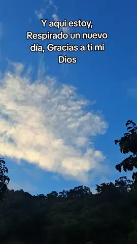 buenos dias  feliz inicio de semna #buenosdiasmundo  #saludosamigos  #viralvideos 