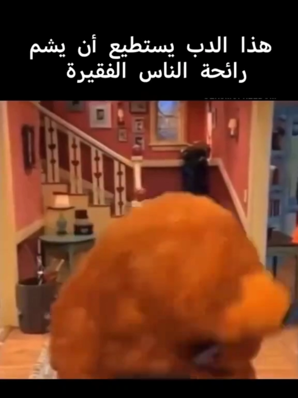غير متوقعة 🤔  #trending #viral #fyp #foryoupage #لغة_عربية 