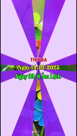 Chào Ngày Mới #ngaymoivuive 