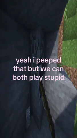#stretchtok #Minecraft #relatable #twin #viral 