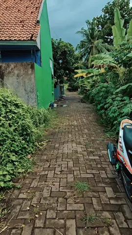#CapCut 