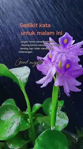 story night #storywa #fypage #quotes #katakata 