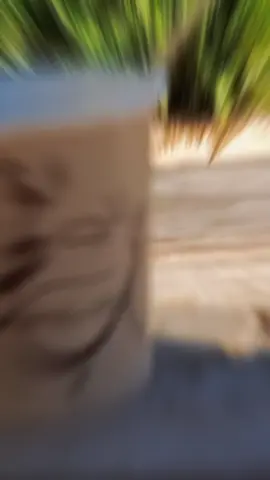 #مابتضر_القهوة_على_الرصيف🤍✨  #تصوري📸 #تصميمي🎬 مدرسة الاوائل الخاصة☕🤎