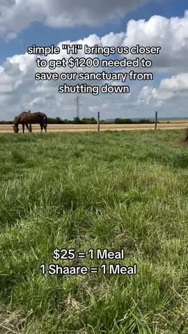 $25 = 1 Meal 1 Shaare = 1 Meal #unitedstates #usa🇺🇸 #wildhorses #america #viral 