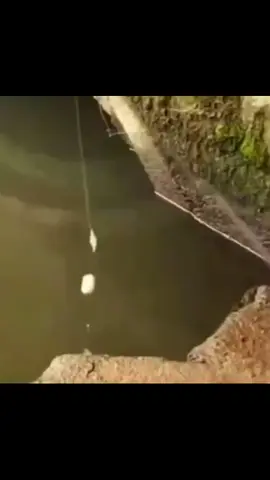 #longtiengvlog #kênhgiảitrí #duyruoude #xuhuongtiktok #kênhgiảitrí 