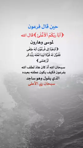#إقتباسات عبارت ه #شبل#يمن#الشمال#عدن يجمال_اليمن ثقافة_يمنية تراث_يمني موسيقى_يمنية شباب_يمني ـــ فخر_يمني يمن_الحب تقاليد_يمنية