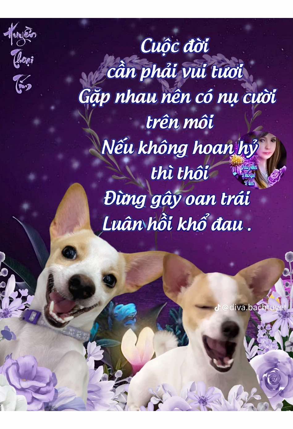 hết dáng #xh#media#tiktok 