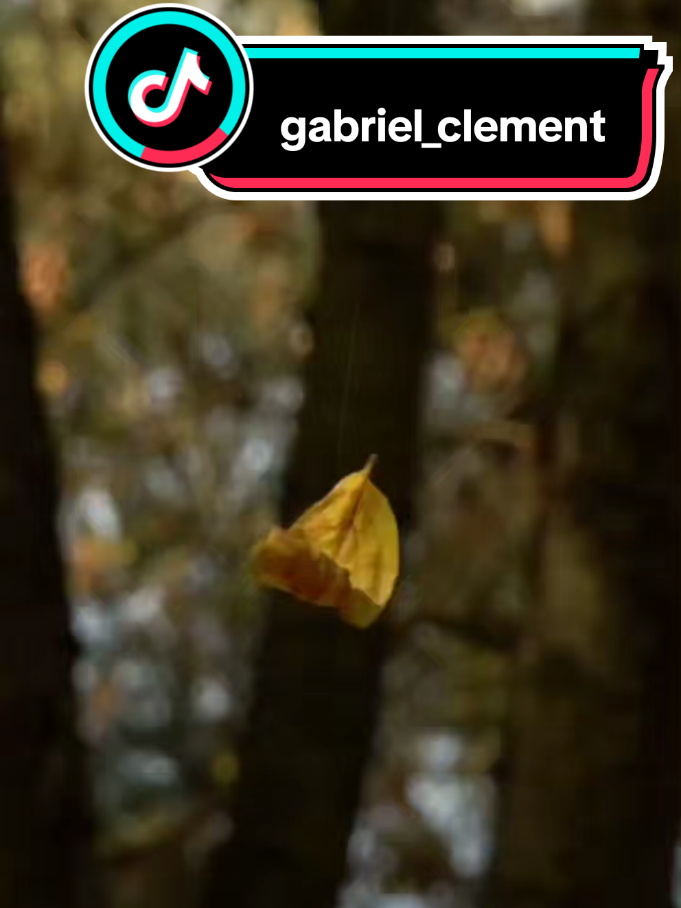 #ParaTi #Motivación #consejos #fypage #paratii