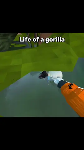 Life of a gorilla @Animal Company #ac #animalcompany #vr #animalcompanyvr #viral 