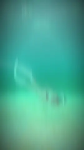 Cảm hứng dẫn lối đến với phú quý❤️ #CapCut #freediving #freedivingphuquy #phuquy #phuquyisland 