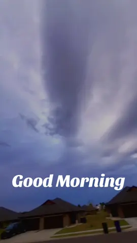 Good morning 😃 I’ll be sad to see my sweet potato 🍠 go … cold weather is right around the corner ! #storms #sweetpotatoplant  