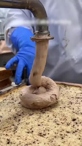 Cre: Nhà Có Kho Châu Báu