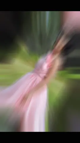 Inst: estrellitas_photos_by_yile #nature #photoshoot #daughter #photobyme 