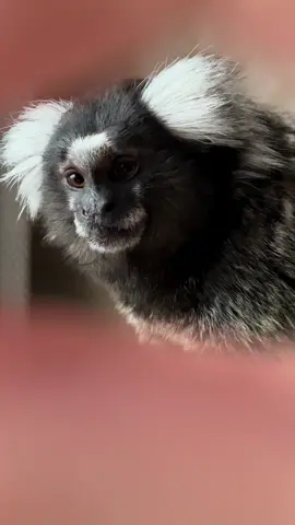 Мытяй @lilkrystalll 