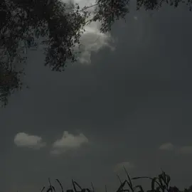 cuku  diam  dan diam