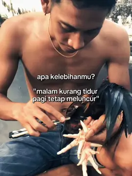 BARANG bagus akan tetap dicari enak dek enak dek #fypシ゚ #fypシ゚viral #fyppppppppppppppppppppppp #fypage #fypgakni 