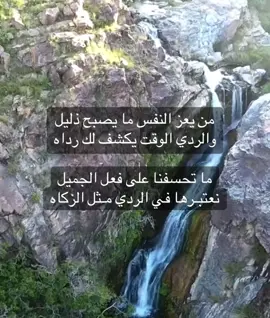 من يعز النفس ما يصبح ذليل والردي الوقت يكشف لك رداه ما تحسفنا على فعل الجميل نعتبـرها في الردي مـثل الزكاه.              #اكسبلور_تيك_توك #foryouu #CapCut #لايك #شعر 