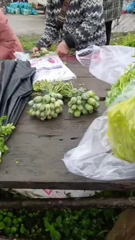 # phiên chợ hôm nay  toàn đặc sản #suckhoechomoinguoi #hoaanhtuc #thaoduocthiennhien #xuhướng #suckhoe 