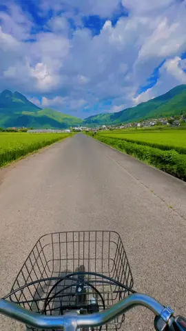 来年2月に福岡ウォーホルに行きます#04 #日本 #fyp #추천 #fukuoka 