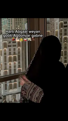 Gobti Agoonyar gabne Oo ku  > Aftirsata Shiiq shariif Shiiq  Ahmed 💃👑