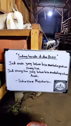 semangat🔥 #jowostory #xyabca #storyjowo #xyzbca #jowopride #xyzbcafypシ #capcut #tiktok #beranda #jowokuciwoo #sobatngaret #peternkmuda #fyp #suharfarmmojokerto #liriklagujowo 