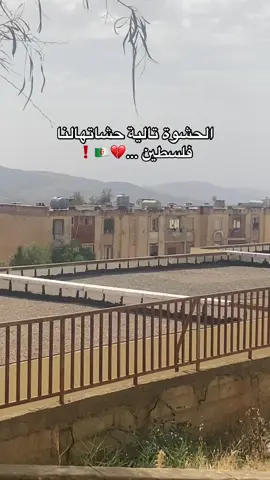 هدا هو الخير فلسطين ⁉️#فلسطين🇵🇸 #الجزائر🇩🇿 #فسطين_الجزائر🇩🇿❤️🇵🇸 #الشعب_الصيني_ماله_حل😂😂 