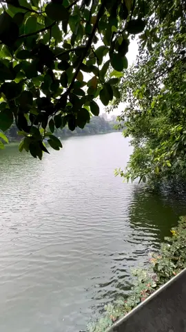 প্রকৃতি🍃 ও জীবন🫀 #everyone #bangladesh🇧🇩 #capcut #trending #fyp 