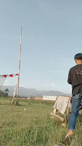 sad nya sama merpati aja ya#pmtimajalaya #storymerpati #hobimerpati🕊️🕊️ #fypage 