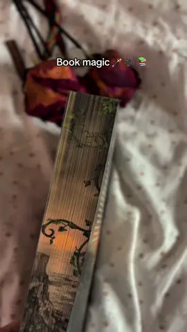 @Editura Litera IG: pagesofpersephone #books #edituralitera #BookTok #reading #booklover #bookrecs #bookrecommendation #literature #literary #literarytok  #fantasy