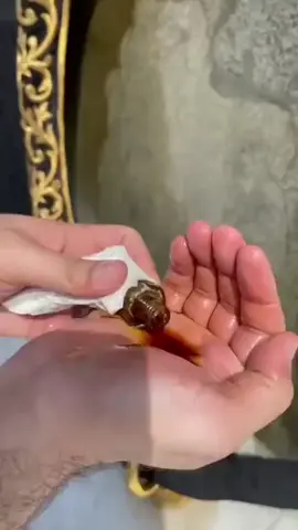 🥰🥰🥰#iloveallah❤🕋 #islamic_video #foryou #creatorsearchinsights #iloveallah 