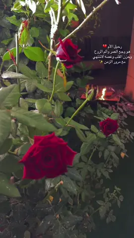 #الاكسبلور🔥 #أمي #لاتنسونها_من_دعواتكم #💔😔 