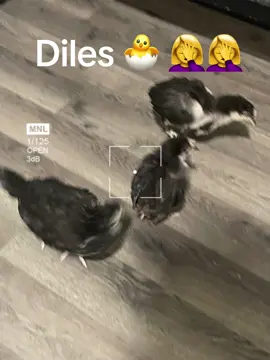 #LIVEIncentiveProgram #GenuineInteractionMatters #PaidPartnership 